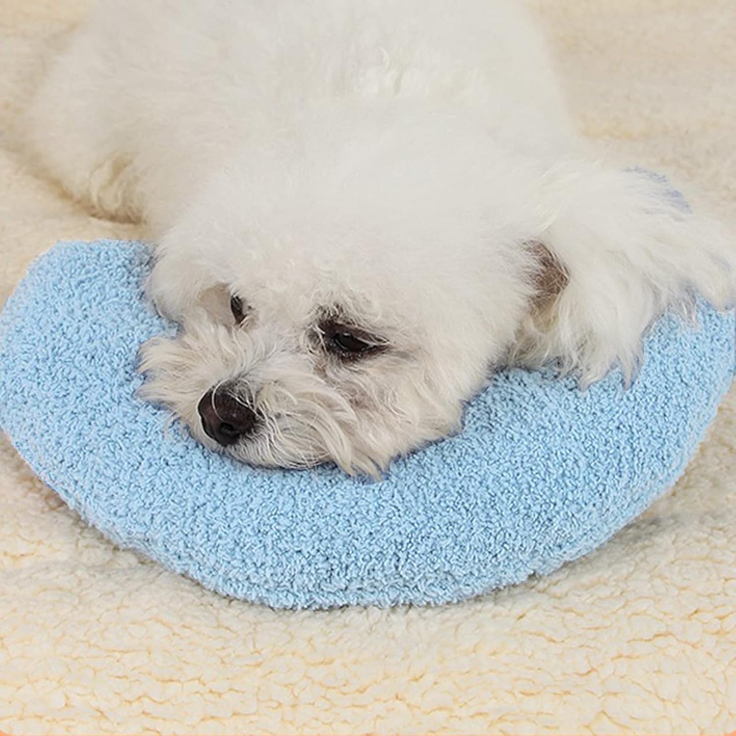 Blue Cactus Pet Pillow Cushion – Fresh, Soft & Versatile