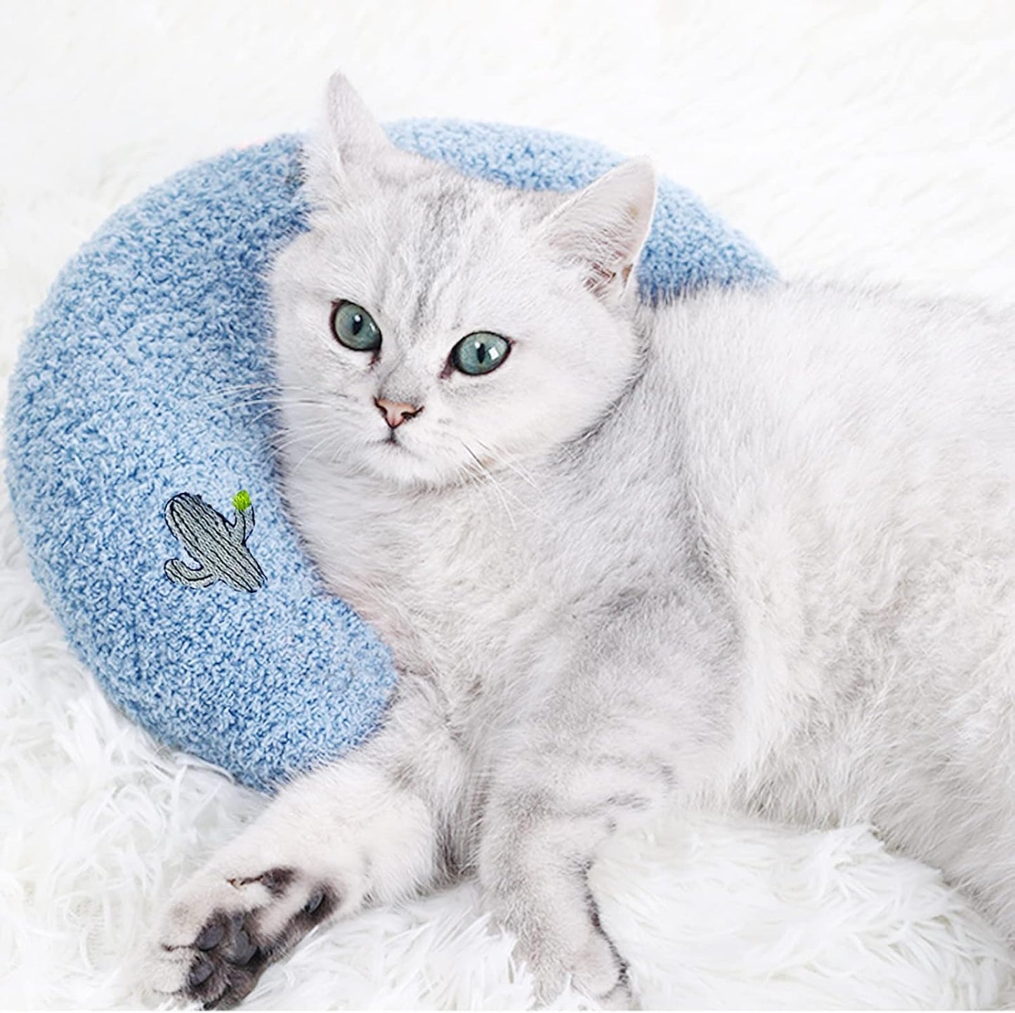 Blue Cactus Pet Pillow Cushion – Fresh, Soft & Versatile