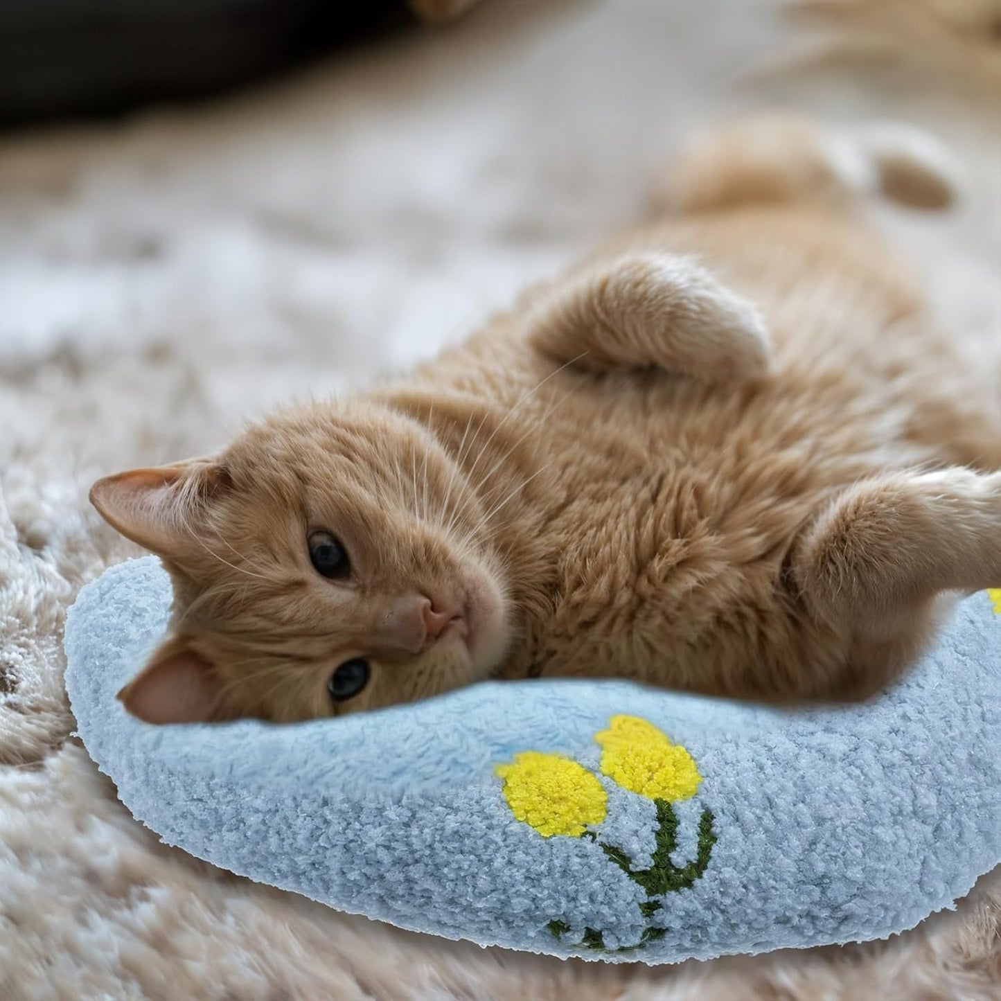 Light Blue Lemon Pet Pillow Cushion – Fresh, Soft & Adorable