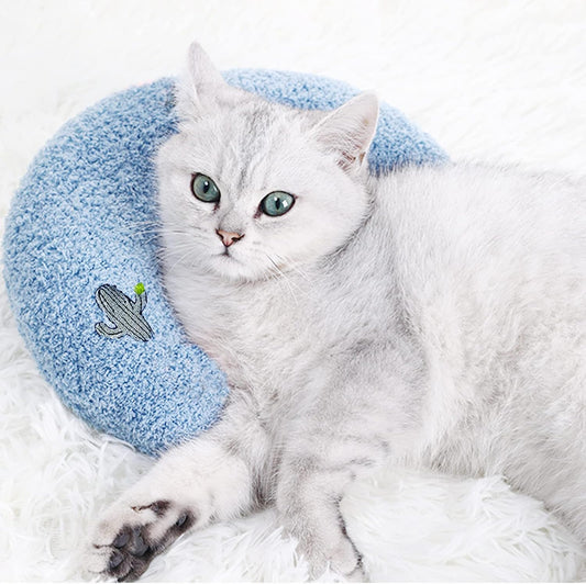 Blue Cactus Pet Pillow Cushion – Fresh, Soft & Versatile