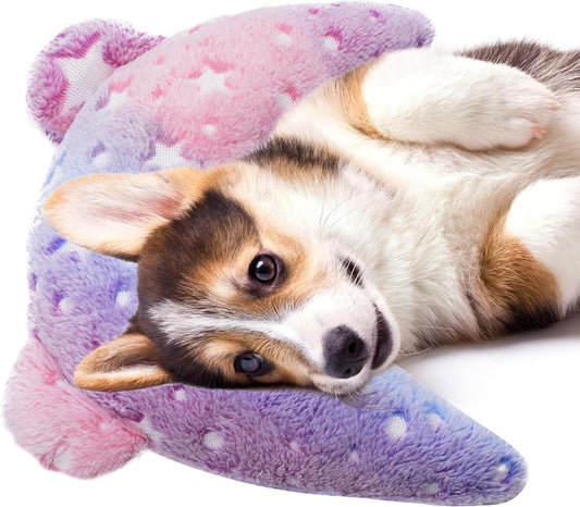 Gradient Star Pet Pillow Cushion – Dreamy, Soft & Cozy