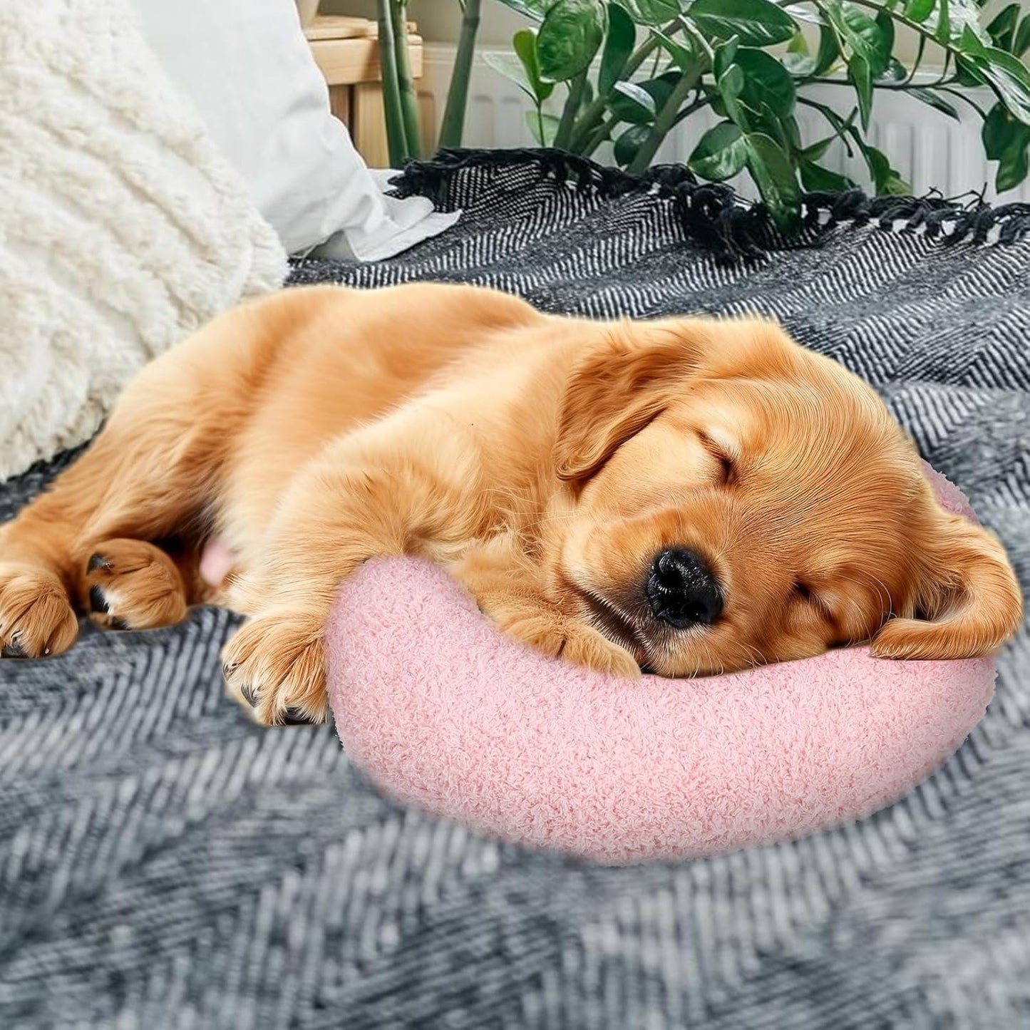 3 Pcs Pet Pillow Cushions – Cute, Soft & Multi-style Set