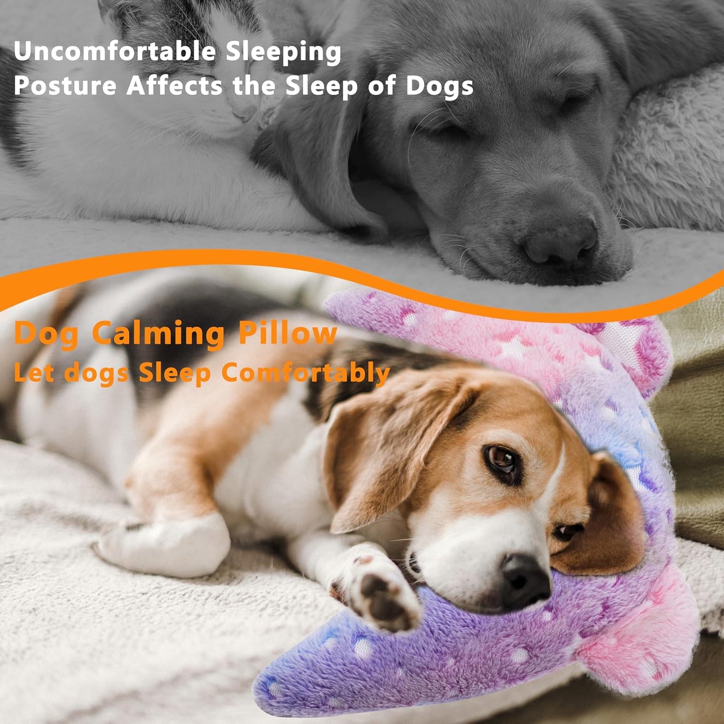 Gradient Star Pet Pillow Cushion – Dreamy, Soft & Cozy