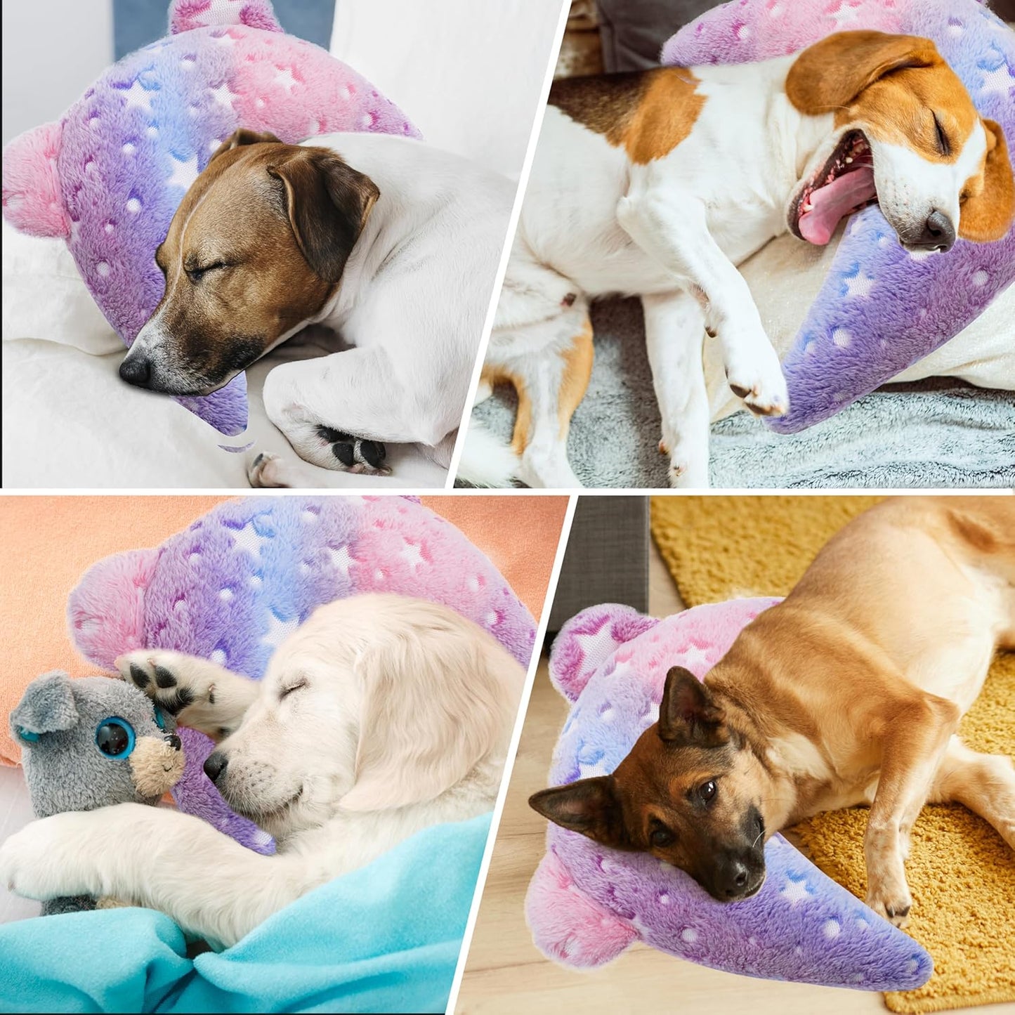 Gradient Star Pet Pillow Cushion – Dreamy, Soft & Cozy